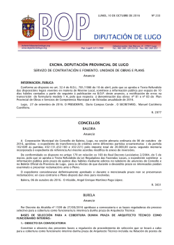 EXCMA. DEPUTACI&Oacute;N PROVINCIAL DE LUGO CONCELLOS