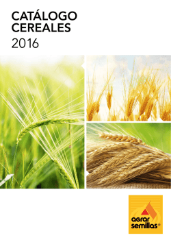 cat&aacute;logo cereales - Ma&iuml;sadour Semences