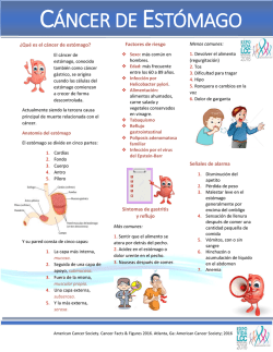 c&aacute;ncer de est&oacute;mago - Liga Contra el Cancer
