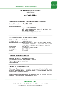 abectina 1 - Squarespace