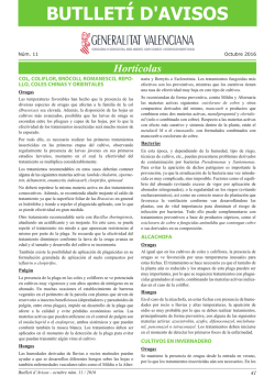 BOLETIN OCTUBRE 2016-n&ordm;11