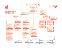 Organigrama Hospital de Especialidades Vida Mejor