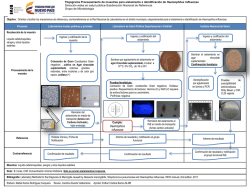 Cumple: Haemophilus influenzae