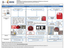 Flujograma procesamiento de muestras Streptococcus pneumoniae