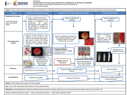 Neisseria meningitidis - Instituto Nacional de Salud