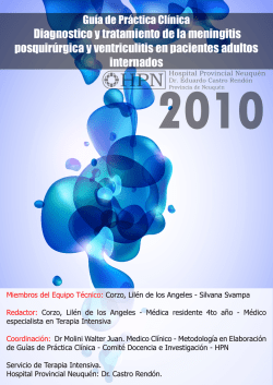 2 MB 07/10/2016 13-GPC Meningitis post quirurgica HPN 2010