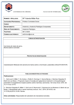 M&ordf; Yolanda Mill&aacute;n Ruiz - Universidad de C&oacute;rdoba