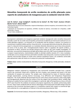 Monolitos honeycomb de arcilla recubiertos de arcilla pilareada