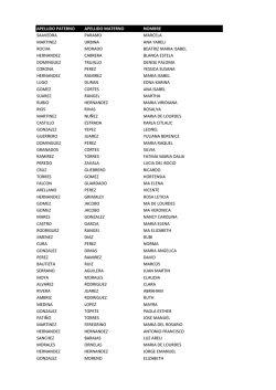 apellido paterno apellido materno nombre saavedra paramo