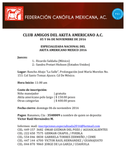 club amigos del akita americano ac