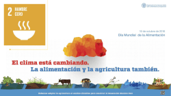 suelo - Per&uacute; 2021