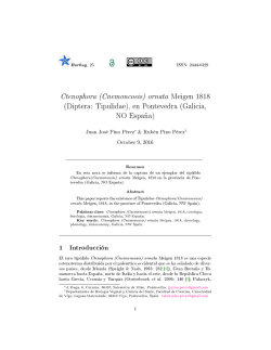 Ctenophora (Cnemoncosis) ornata Meigen 1818