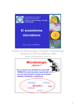 Microbiolog&iacute;a - C&aacute;tedra de Microbiolog&iacute;a, Virolog&iacute;a y Parasitolog&iacute;a