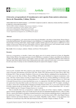 Echeveria cerrograndensis (Crassulaceae) a new species from