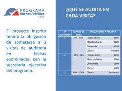 &iquest;Qu&eacute; se audita en cada visita?