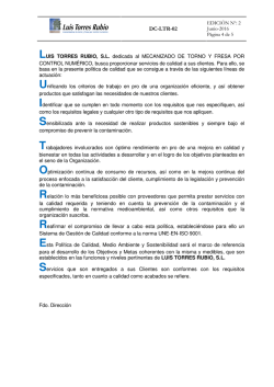 Politica Calidad - luis torres rubio