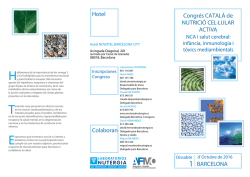 Descargar ficha t&eacute;cnica