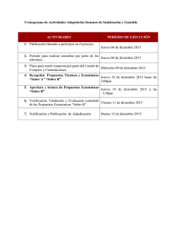 Cronograma de Actividades