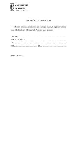 INSPECCI&Oacute;N VEHICULAR OCULAR ------
