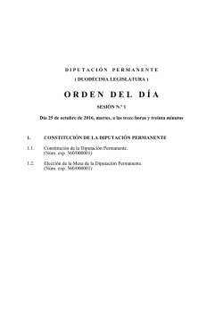 Orden del d&iacute;a