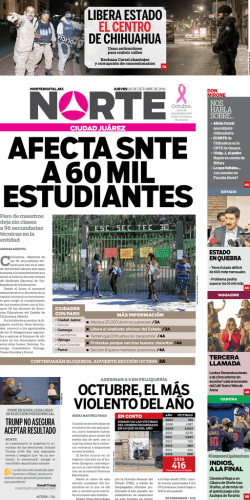 chihuahua - Nortedigital