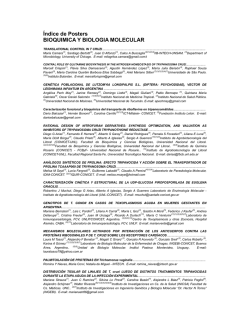 &Iacute;ndice de P&oacute;sters