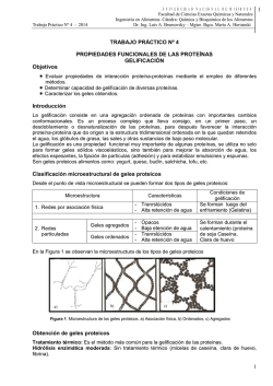 Trabajo Pr&aacute;ctico N&ordm; - Aula Virtual FCEQyN