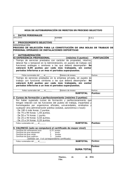 Hoja de autobaremaci&oacute;n