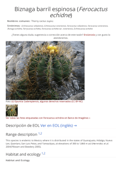 Descargar versi&oacute;n