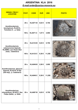 argentina kla 2016 - Cactus