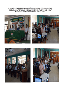 ii consulta p&uacute;blica comit&eacute; provincial de seguridad