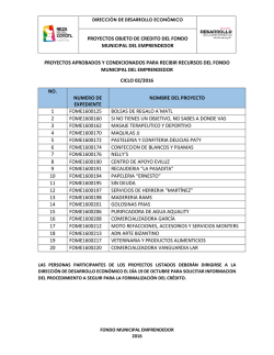 proyectos objeto de credito del fondo municipal del emprendedor