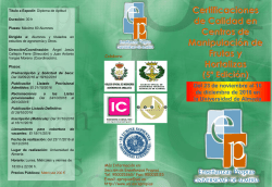 Presentaci&oacute;n de PowerPoint