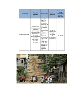 Raz&oacute;n social Actividad econ&oacute;mica Direcci&oacute;n RUC Resultado