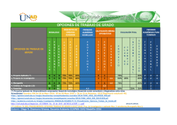 opciones de trabajo de grado