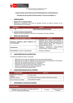 convocatoria para pr&aacute;cticas pre profesionales o