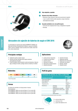 Abrazadera de sujeci&oacute;n de tuber&iacute;as de seg&uacute;n el
