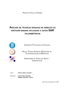 an&aacute;lisis de t&eacute;cnicas basadas en &aacute;rboles de partici&oacute;n binaria