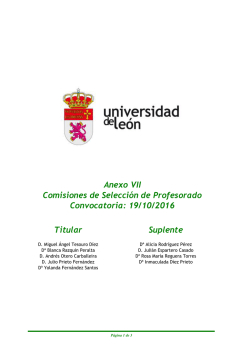Anexo VII Comisiones de Selecci&oacute;n de Profesorado Convocatoria