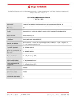 HOJA DE T&Eacute;RMINOS Y CONDICIONES F BSCTIA 13003
