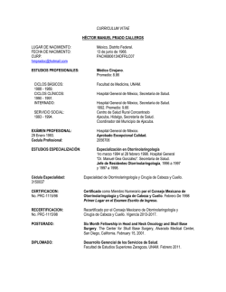 CURRICULUM VITAE H&Eacute;CTOR MANUEL PRADO CALLEROS
