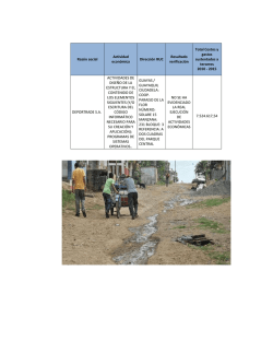 Raz&oacute;n social Actividad econ&oacute;mica Direcci&oacute;n RUC Resultado