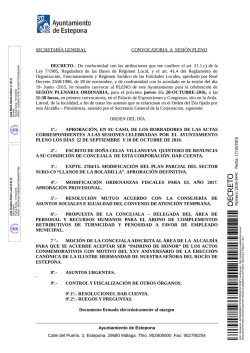 DECRET O - Ayuntamiento de Estepona