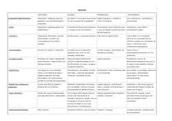 Enfermedades agapornis