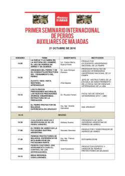 descargar programa feria rumiar