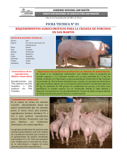 ficha tecnica n&deg; 01