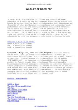 Wildlife Of Siberi | 159.203.191.138