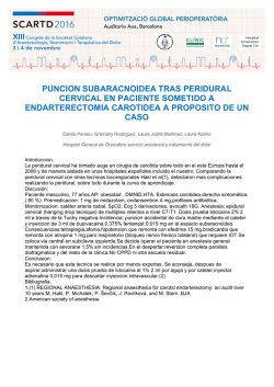 puncion subaracnoidea tras peridural cervical