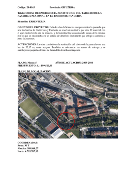 Sustituci&oacute;n del tablero de la pasarela peatonal en el barrio de