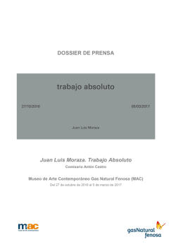 DOSSIER DE PRENSA Juan Luis Moraza. Trabajo Absoluto